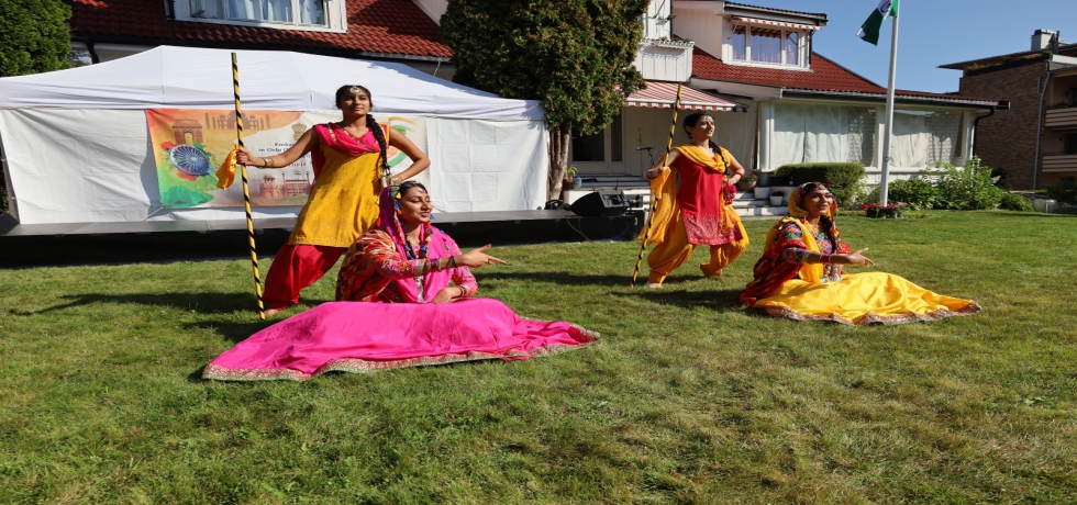 Bhangra dance performace